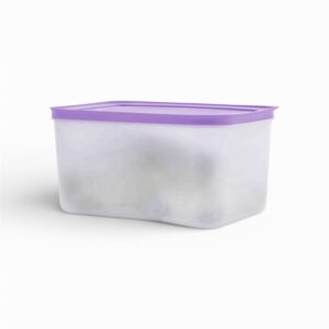 Congeladora 2,50 Lt (nova cor)