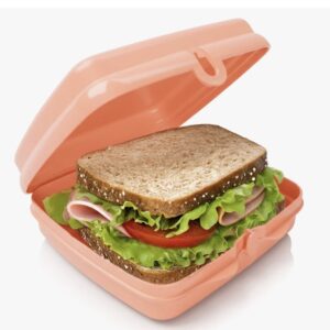 Caixa Sanduicheira quadrada coral